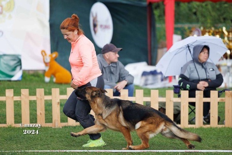 Ирендорф Замбия 